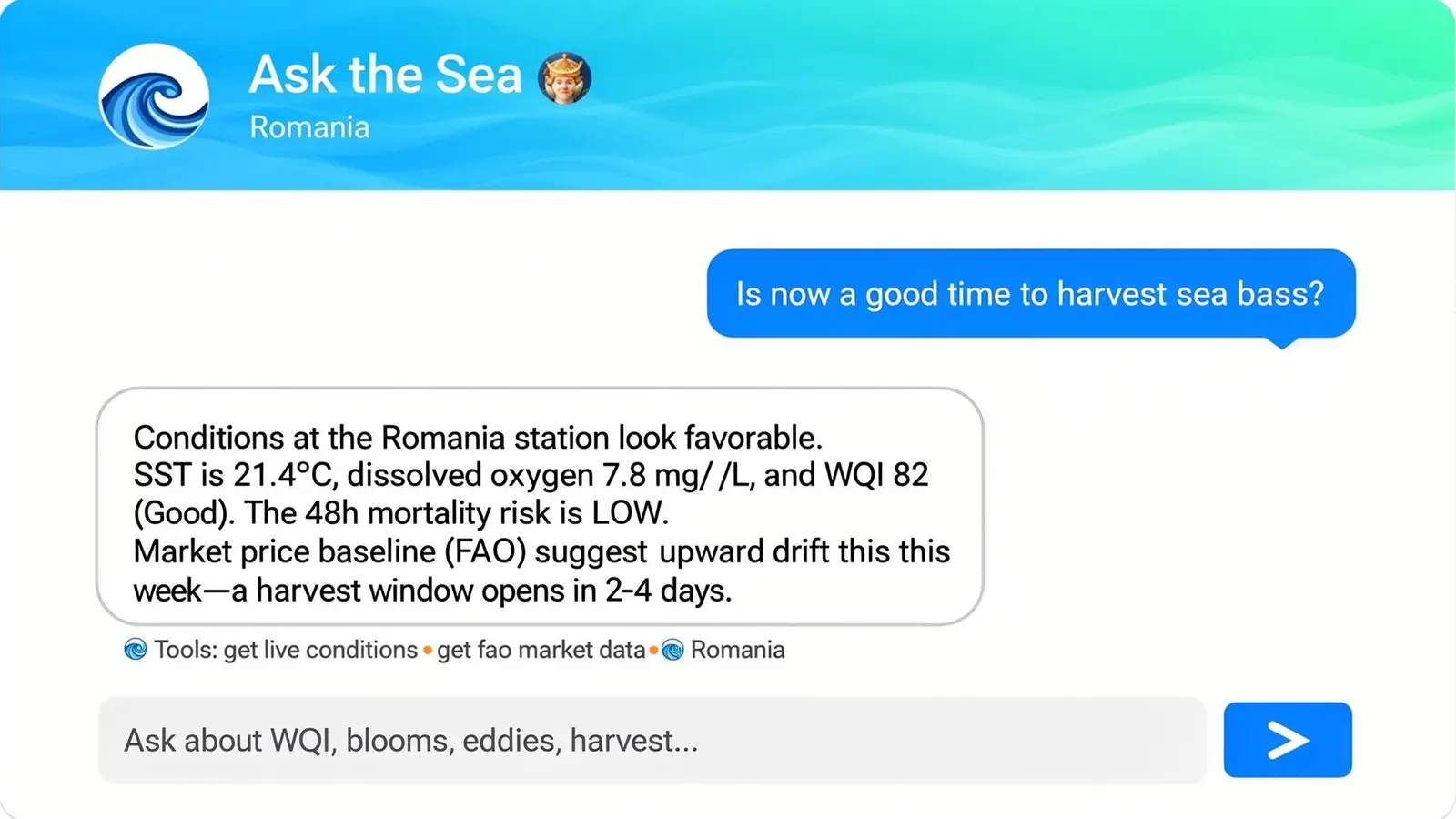 A live response streamed from Gemini 3 Flash. Each answer carries citation metadata, which tools were called and which station data sources were consulted.